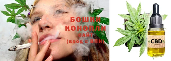 скорость Вяземский