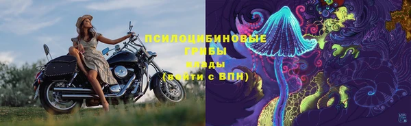 тгк Горно-Алтайск