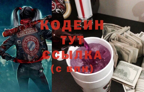 скорость Вяземский