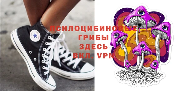 Альфа ПВП Вязьма