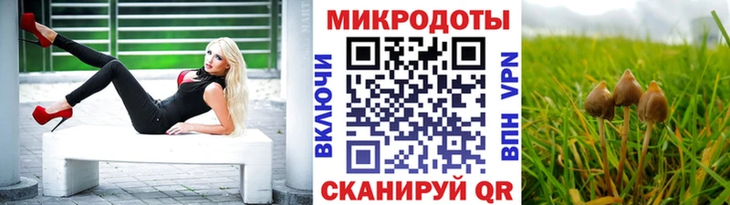 Купить  Петушки  Псилоцибиновые грибы прущие грибы 